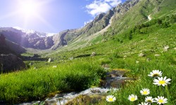 kertya aset aplica bosafae keuestyasne