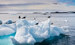 In justo est sollicitudin eu scelerisque